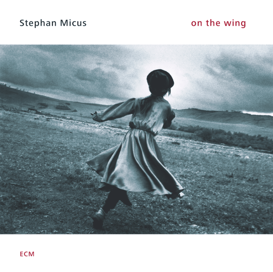 STEPHAN MICUS-ON THE WING